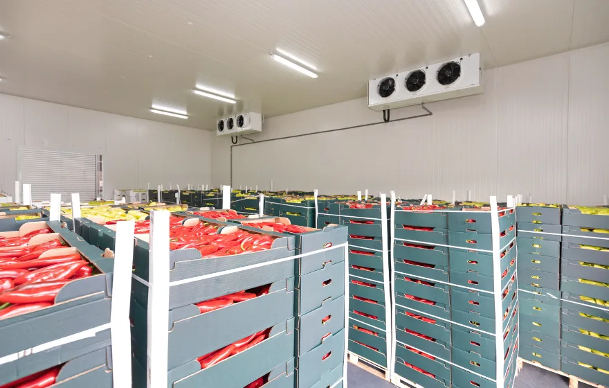 Walk-in freezer repair
